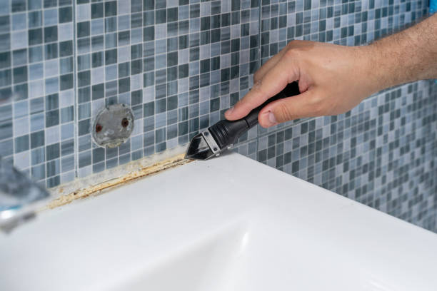 Best Residential Mold Removal  in Huntland, TN